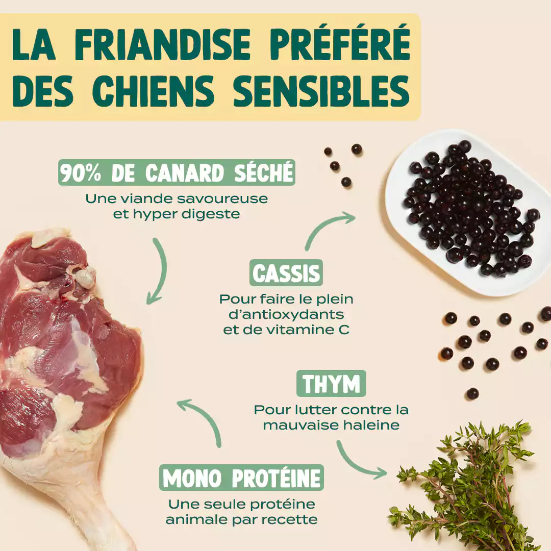 CANARD SÉCHÉ - Image 3