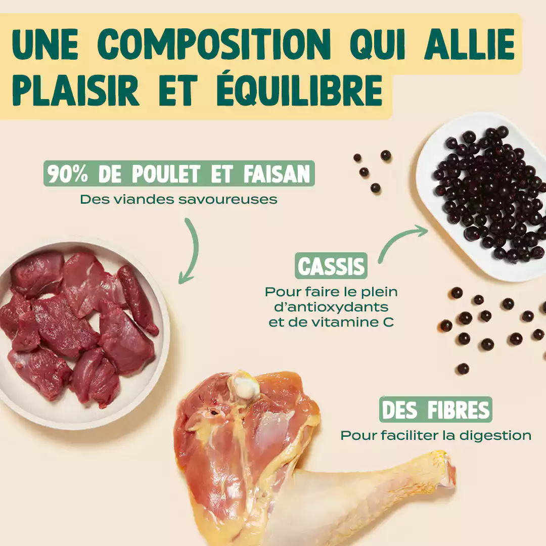 FAISAN SÉCHÉ - Image 3
